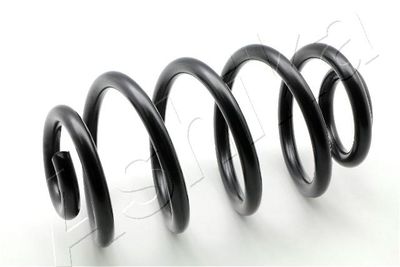 Suspension Spring ASHIKA ZCA6222X