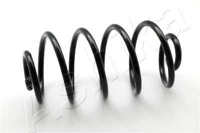 Suspension Spring ASHIKA ZCA6232X