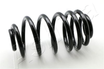 Suspension Spring ASHIKA ZCA6233A