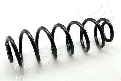 Suspension Spring ASHIKA ZCA6241A