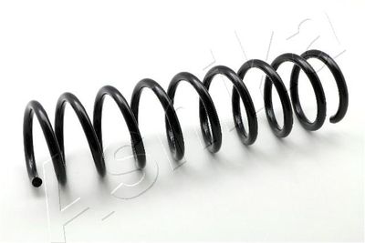 Suspension Spring ASHIKA ZCA6275A