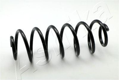 Suspension Spring ASHIKA ZCA6337H