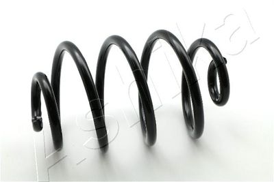 Suspension Spring ASHIKA ZCA6341X
