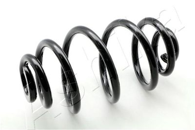 Suspension Spring ASHIKA ZCA6346X