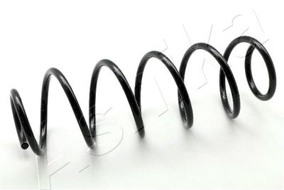 Suspension Spring ASHIKA ZCA6394H
