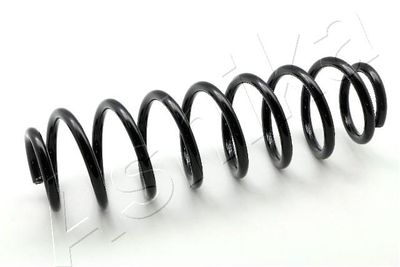 Suspension Spring ASHIKA ZCA6402H