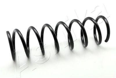 Suspension Spring ASHIKA ZCA6411A