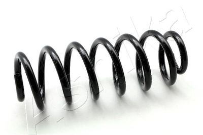 Suspension Spring ASHIKA ZCA6434H