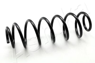 Suspension Spring ASHIKA ZCA6446H