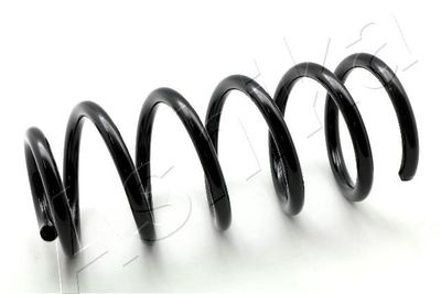 Suspension Spring ASHIKA ZCA6520G