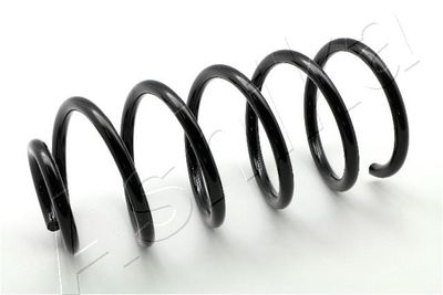 Suspension Spring ASHIKA ZCA6538G