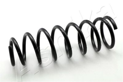 Suspension Spring ASHIKA ZCA6546G