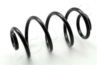 Suspension Spring ASHIKA ZCA6585H