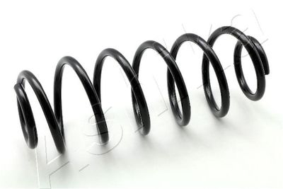Suspension Spring ASHIKA ZCA6618H