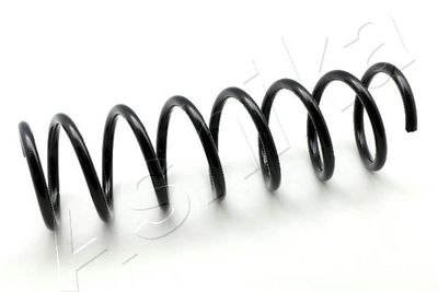 Suspension Spring ASHIKA ZCA6655A