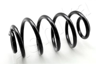 Suspension Spring ASHIKA ZCA6665X