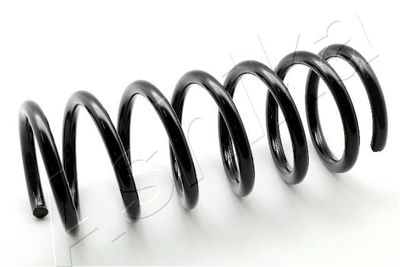 Suspension Spring ASHIKA ZCA6668A