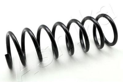 Suspension Spring ASHIKA ZCA6689A