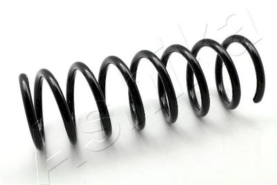 Suspension Spring ASHIKA ZCA6691A