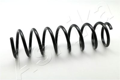 Suspension Spring ASHIKA ZCA6693C
