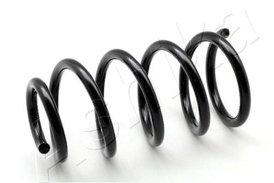 Suspension Spring ASHIKA ZCA6697C