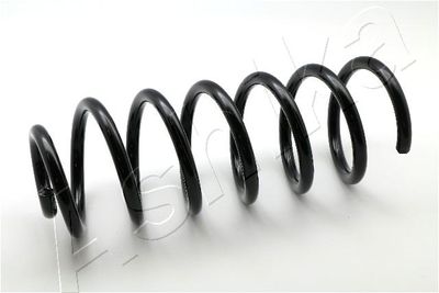 Suspension Spring ASHIKA ZCA6733C