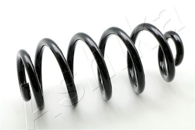 Suspension Spring ASHIKA ZCA6746H