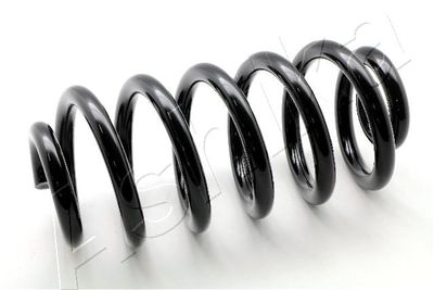 Suspension Spring ASHIKA ZCA6747H