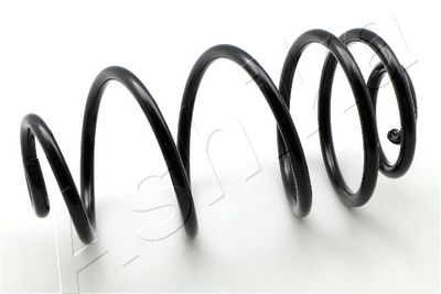 Suspension Spring ASHIKA ZCA6769X