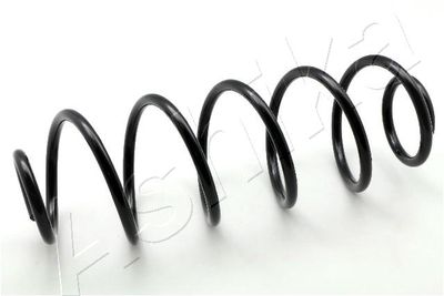 Suspension Spring ASHIKA ZCA6771H