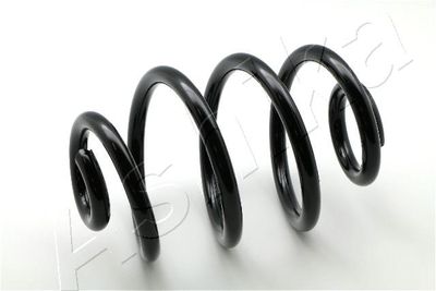 Suspension Spring ASHIKA ZCA6776H