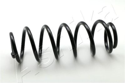 Suspension Spring ASHIKA ZCA6785H