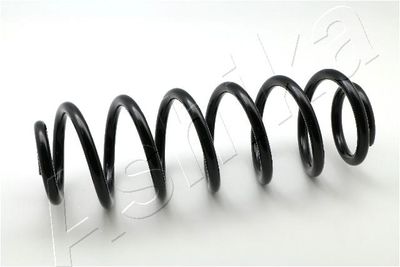 Suspension Spring ASHIKA ZCA6787H