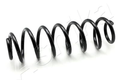 Suspension Spring ASHIKA ZCA6788H