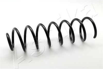 Suspension Spring ASHIKA ZCA6978A