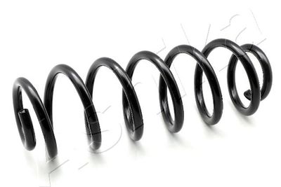 Suspension Spring ASHIKA ZCA7021H