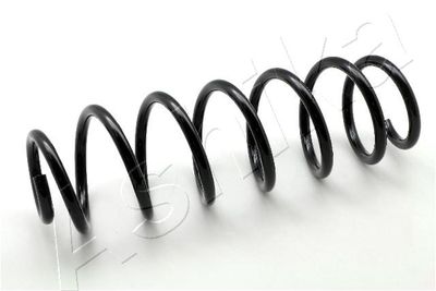 Suspension Spring ASHIKA ZCA7034A