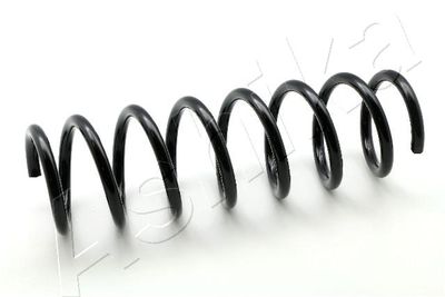 Suspension Spring ASHIKA ZCA7065A