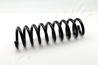 Suspension Spring ASHIKA ZCA7087A