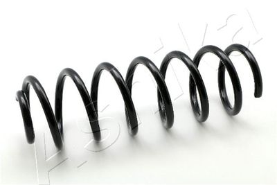 Suspension Spring ASHIKA ZCA7098A