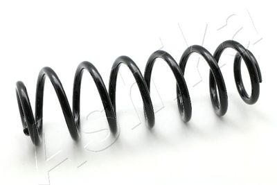 Suspension Spring ASHIKA ZCA7099A