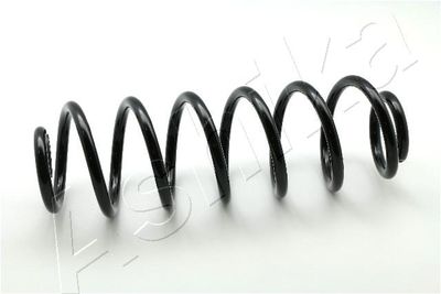 Suspension Spring ASHIKA ZCA7103A