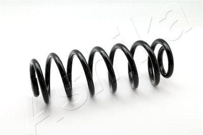 Suspension Spring ASHIKA ZCA7116A