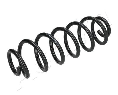 Suspension Spring ASHIKA ZCA7119A