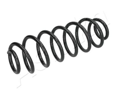 Suspension Spring ASHIKA ZCA7135A