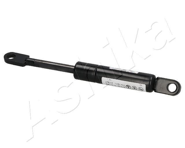 ASHIKA ZSA01056 Gas Spring, boot/cargo area