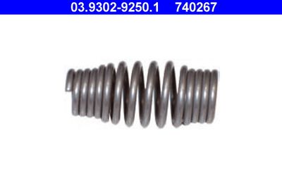 Drive Spring, filling/bleeding unit (brake hydraulics) ATE 03.9302-9250.1