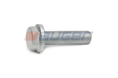 Bolt, brake caliper AUGER 105123