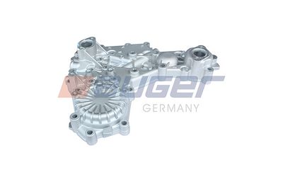 Cap AUGER 112216
