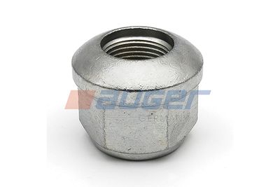 Nut, Kingpin (leaf spring hanger) AUGER 51493